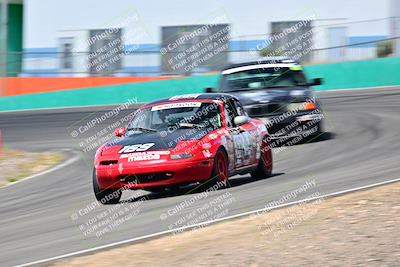 media/May-04-2025-Lucky Dog Racing (Sun) [[21629467aa]]/Turn 4 (10-1045am)/Front/